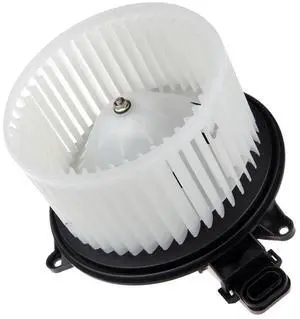 AC Blower Motor Fit for Ford Expedition/Lincoln Navigator 2009-2017/2009-2014 Ford F-150, 2010 2011 2012 13 14 15 16 17 Expedition & Lincoln Navigator Heater 700237 Front Automotive Replacement AC Blower Motor Fit for Ford Expedition/Lincoln Navigator 2009-2017/2009-2014 Ford F-150, 2010 2011 2012 13 14 15 16 17 Expedition & Lincoln Navigator Heater 700237 Front Automotive Replacement