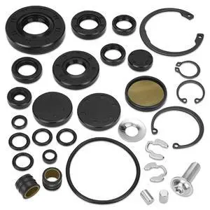 72994 Transmission Seal Kit Fit for Rebuilding Hydro-Gear ZT-2800, ZT-3100, ZT-3400 Transmissions Replace# 72994, 71410, 73107 (Set of 30) 72994 Transmission Seal Kit Fit for Rebuilding Hydro-Gear ZT-2800, ZT-3100, ZT-3400 Transmissions Replace# 72994, 71410, 73107 (Set of 30)