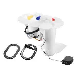E8596M Fuel Pump Module Assembly Compatible with Subaru Legacy Outback 2000-2003, Compatible with Subaru Baja 2003, 2.5L H4, Replaces 42021AE06A, 42021AE06B E8596M Fuel Pump Module Assembly Compatible with Subaru Legacy Outback 2000-2003, Compatible with Subaru Baja 2003, 2.5L H4, Replaces 42021AE06A, 42021AE06B