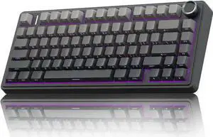 WISDUM F75 Pro Wireless Mechanical Keyboard,75% Gasket Hot Swappable Custom Keyboard,RGB Backlit,Pre-lubed Reaper Switches,Side Printed PBT Keycaps,2.4GHz/USB-C/BT5.0 Mechanical Gaming Keyboard WISDUM F75 Pro Wireless Mechanical Keyboard,75% Gasket Hot Swappable Custom Keyboard,RGB Backlit,Pre-lubed Reaper Switches,Side Printed PBT Keycaps,2.4GHz/USB-C/BT5.0 Mechanical Gaming Keyboard