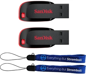 SanDisk USB 2.0 Cruzer Blade Type-A 2 Pack 64GB Flash Drive Pen Drive SanDisk USB 2.0 Cruzer Blade Type-A 2 Pack 64GB Flash Drive Pen Drive