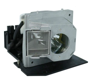 GOLDENRIVER BL-FS300B Projector Lamp with Original Bulb and Generic Housing Compatible with Optoma EP1080 EP910 HD8000 HD8000-LV HD800X HD803 HD806 HD81 HD81-LV HD930 HD980 HT1080 HT1200 TX1080 GOLDENRIVER BL-FS300B Projector Lamp with Original Bulb and Generic Housing Compatible with Optoma EP1080 EP910 HD8000 HD8000-LV HD800X HD803 HD806 HD81 HD81-LV HD930 HD980 HT1080 HT1200 TX1080