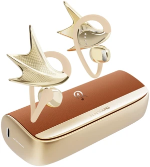 REAL YOUNG H700 Elegant Jewelry-Inspired Open-Ear Earbuds for Women REAL YOUNG H700 Elegant Jewelry-Inspired Open-Ear Earbuds for Women