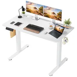 48 x 24 in Electric Standing Desk - Memory Height Adjustable Ergonomic Sit-to-Stand Rising Computer Table Gaming Workstations with 2 Hooks and Wire Hole for Home Office, White 48 x 24 in Electric Standing Desk - Memory Height Adjustable Ergonomic Sit-to-Stand Rising Computer Table Gaming Workstations with 2 Hooks and Wire Hole for Home Office, White