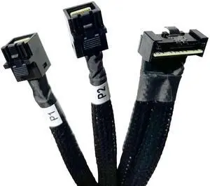 WRIARICH 80cm SlimSAS SFF-8654 74Pin 8X to Dual SFF-8643 36Pin 4X Server Cable, Compatible with DELL PERC H750 H755 RAID Controllers WRIARICH 80cm SlimSAS SFF-8654 74Pin 8X to Dual SFF-8643 36Pin 4X Server Cable, Compatible with DELL PERC H750 H755 RAID Controllers