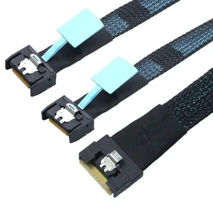 WRIARICH PCI-E SAS 4.0 SFF-8654 8i 74pin To Dual 2X 4X 4i 8654 38Pin Server Internal Connection Cable WRIARICH PCI-E SAS 4.0 SFF-8654 8i 74pin To Dual 2X 4X 4i 8654 38Pin Server Internal Connection Cable