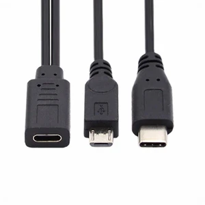 WRIARICH Type-C USB-C Female to Type-C USB-C USB 3.1 & Micro USB Male Splitter Extension Charge Cable WRIARICH Type-C USB-C Female to Type-C USB-C USB 3.1 & Micro USB Male Splitter Extension Charge Cable