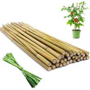 32Pcs 18in Natural Bamboo Garden Stakes for Plant Support with Twist Ties for Tomatoes, Beans, Flowers, Potted Plants, Indoor and Outdoor Climbing Plants 32Pcs 18in Natural Bamboo Garden Stakes for Plant Support with Twist Ties for Tomatoes, Beans, Flowers, Potted Plants, Indoor and Outdoor Climbing Plants