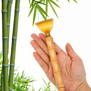 Telescoping Back Scratcher - Body Itch Scratcher Tool Telescoping Back Scratcher - Body Itch Scratcher Tool