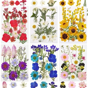 106Pcs Natural Compressed Dried Flowers and Leaves for Resin 106Pcs Natural Compressed Dried Flowers and Leaves for Resin