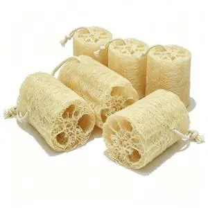 Natural Loofah Exfoliating Body Sponge Scrubber, Plant-Based Organic Loofa Luffa for Men & Women Skin Care Bath Shower Cleaning Back & Fac, Natural Sponges for Dishes (4", Count, 6.0) Natural Loofah Exfoliating Body Sponge Scrubber, Plant-Based Organic Loofa Luffa for Men & Women Skin Care Bath Shower Cleaning Back & Fac, Natural Sponges for Dishes (4", Count, 6.0)