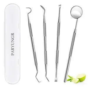 Dental Tools, Professional Teeth Cleaning Oral Care Hygiene Kit, Stainless Steel Dental Tools, Professional Teeth Cleaning Oral Care Hygiene Kit, Stainless Steel