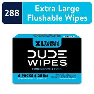 DUDE Wipes Flushable Wipes Unscented XL Wet Wipes for Home Use, 48 Count, 6 Pack DUDE Wipes Flushable Wipes Unscented XL Wet Wipes for Home Use, 48 Count, 6 Pack