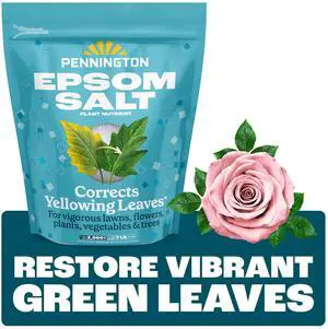 Pennington 7 lb Epsom Salt Plant Food Fertilizer Pennington 7 lb Epsom Salt Plant Food Fertilizer