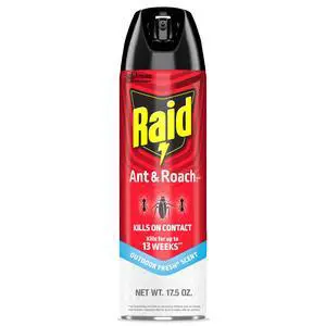 Raid Ant & Roach Killer Spray, 17.5 oz, Kills Listed Bugs, Keeps Killing for 13 Weeks, Outdoor Fresh Scent Raid Ant & Roach Killer Spray, 17.5 oz, Kills Listed Bugs, Keeps Killing for 13 Weeks, Outdoor Fresh Scent