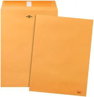 Mr. Pen Clasp Envelopes, 18 Pack, 9x12 Inches, Brown Kraft Mr. Pen Clasp Envelopes, 18 Pack, 9x12 Inches, Brown Kraft