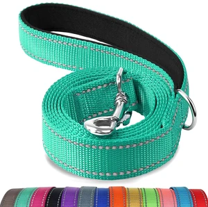 Joytale Reflective Dog Leash 6FT x 1Inch Turquoise for Medium Large Dogs Joytale Reflective Dog Leash 6FT x 1Inch Turquoise for Medium Large Dogs