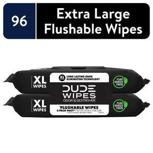 DUDE Wipes Odor Destroyer Flushable Wipes, XL Wet Wipes, Deodorizing with Clean Scent, 48 Count, 2 Pack DUDE Wipes Odor Destroyer Flushable Wipes, XL Wet Wipes, Deodorizing with Clean Scent, 48 Count, 2 Pack