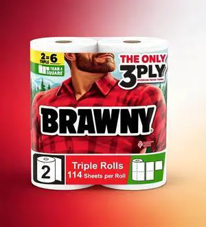ICUTE-Brawny Tear-A-Square 3-Ply Paper Towels, 2 Triple Rolls, 114 Sheets per Roll ICUTE-Brawny Tear-A-Square 3-Ply Paper Towels, 2 Triple Rolls, 114 Sheets per Roll