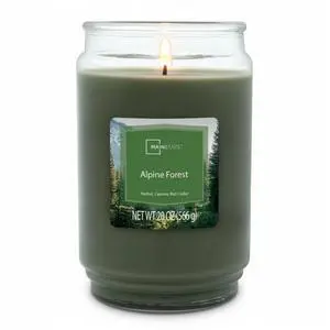 ICUTE-Mainstays Alpine Forest Single-Wick Scented Glass Jar Candle, 20 oz ICUTE-Mainstays Alpine Forest Single-Wick Scented Glass Jar Candle, 20 oz