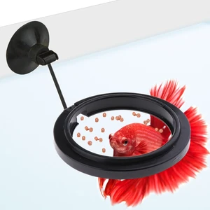 SunGrow Betta Feeding Ring (1 Pc) - Prevents Water Turbulence, Suitable for Guppy, Goldfish and Other Small Fish SunGrow Betta Feeding Ring (1 Pc) - Prevents Water Turbulence, Suitable for Guppy, Goldfish and Other Small Fish