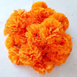 Bulk Silk Artificial Marigold Flower Heads for Diwali Indian Festival DIY Marigold Garland Day of the Dead Decorations (Orange) Bulk Silk Artificial Marigold Flower Heads for Diwali Indian Festival DIY Marigold Garland Day of the Dead Decorations (Orange)