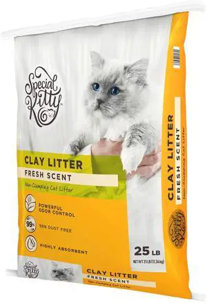 Special Kitty NonClumping Clay Cat Litter, Fresh Scent, Odor Control, 25 lb Bag, 1Count Special Kitty NonClumping Clay Cat Litter, Fresh Scent, Odor Control, 25 lb Bag, 1Count