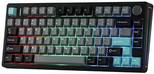 TH80 V2 75% Wireless Mechanical Keyboard with Metal Knob, 8000mAh, 2.4Ghz/BT/USB-C, RGB, Hot Swap, Custom Driver, PBT Keycap, Wireless Gaming Keyboard for PC/Mac (Black, Creamy Jade) TH80 V2 75% Wireless Mechanical Keyboard with Metal Knob, 8000mAh, 2.4Ghz/BT/USB-C, RGB, Hot Swap, Custom Driver, PBT Keycap, Wireless Gaming Keyboard for PC/Mac (Black, Creamy Jade)