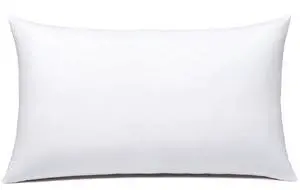 JIEITIVE Throw Pillow Inserts Hypoallergenic Premium Pillow Stuffer Rectangle Lumbar Pillow for Decorative Pillow Covers Cushion Set of 1-12 x 20 Inches JIEITIVE Throw Pillow Inserts Hypoallergenic Premium Pillow Stuffer Rectangle Lumbar Pillow for Decorative Pillow Covers Cushion Set of 1-12 x 20 Inches