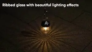 PARTPHONER Solar Lights Outdoor Waterproof 12-Pack, Solar Powered Hanging Lantern Ribbed Glass Hanging Globes for Yard Decor Christmas Decoration, Shepherd Hook, Garden Tree Ornaments, Clear PARTPHONER Solar Lights Outdoor Waterproof 12-Pack, Solar Powered Hanging Lantern Ribbed Glass Hanging Globes for Yard Decor Christmas Decoration, Shepherd Hook, Garden Tree Ornaments, Clear