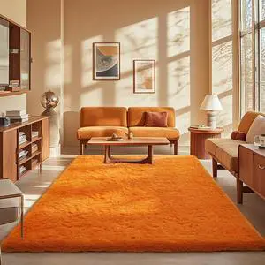 Orange Rugs for Living Room Bedroom, 5x8 Fluffy Fuzzy Furry Carpet, Plush Soft Shaggy Bedside Indoor Floor Area Rug for Kids Girls Boys Baby Teen Dorm Nursery Home Decor Aesthetic Orange Rugs for Living Room Bedroom, 5x8 Fluffy Fuzzy Furry Carpet, Plush Soft Shaggy Bedside Indoor Floor Area Rug for Kids Girls Boys Baby Teen Dorm Nursery Home Decor Aesthetic