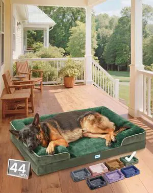 Orthopedic Dog Bed Couch Big Cat Sofa for Extra Large Sized Pets with Memory Foam, Machine-Washable Waterproof Removable Cover, Soft Comfortable Fabric, 44-inch (Green) Orthopedic Dog Bed Couch Big Cat Sofa for Extra Large Sized Pets with Memory Foam, Machine-Washable Waterproof Removable Cover, Soft Comfortable Fabric, 44-inch (Green)