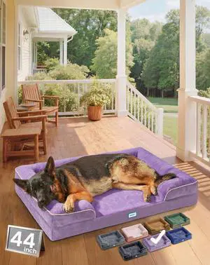 Orthopedic Dog Bed Couch Big Cat Sofa for Extra Large Sized Pets with Memory Foam, Machine-Washable Waterproof Removable Cover, Soft Comfortable Fabric, 44-inch (Purple) Orthopedic Dog Bed Couch Big Cat Sofa for Extra Large Sized Pets with Memory Foam, Machine-Washable Waterproof Removable Cover, Soft Comfortable Fabric, 44-inch (Purple)