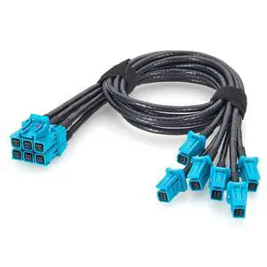 6-in-1 TE MATEnet Z Code Automotive Ethernet Breakout Cable 2333538-9 to 2302510-9 100/1000BASE-T1 Vehicle Network Harness for NVIDIA Drive AGX Thor, ADAS, ECU, LiDAR, Domain Controller (0.5M/1.64FT) 6-in-1 TE MATEnet Z Code Automotive Ethernet Breakout Cable 2333538-9 to 2302510-9 100/1000BASE-T1 Vehicle Network Harness for NVIDIA Drive AGX Thor, ADAS, ECU, LiDAR, Domain Controller (0.5M/1.64FT)