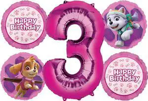 Skye and Everest 3rd Birthday Party Supplies Girl Paw Pups on Patrol Balloon Bouquet Decorations 5ct Skye and Everest 3rd Birthday Party Supplies Girl Paw Pups on Patrol Balloon Bouquet Decorations 5ct