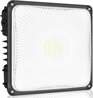 HYPERLITE 100W Canopy LED Lights: 14000LM 1-Pack IP65 Commercial Gas Station Lighting - Square Aluminum Industrial Heat Dissipation for Parking Garage Carport HYPERLITE 100W Canopy LED Lights: 14000LM 1-Pack IP65 Commercial Gas Station Lighting - Square Aluminum Industrial Heat Dissipation for Parking Garage Carport