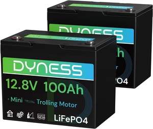 Dyness 12V 100Ah Mini LiFePO4 Battery 2 Pack Group 24, 12 Volt Deep Cycle Lithium Battery with 100A BMS, Low-Temp Protection & 10 Years Lifespan for RV, Boat, Trolling Motor, Solar Off-Grid Dyness 12V 100Ah Mini LiFePO4 Battery 2 Pack Group 24, 12 Volt Deep Cycle Lithium Battery with 100A BMS, Low-Temp Protection & 10 Years Lifespan for RV, Boat, Trolling Motor, Solar Off-Grid