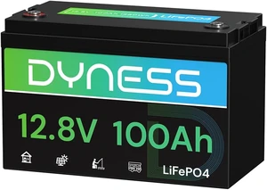 Dyness 12V 100Ah LiFePO4 Lithium Battery G31 for RV, Solar and Off-Grid Dyness 12V 100Ah LiFePO4 Lithium Battery G31 for RV, Solar and Off-Grid