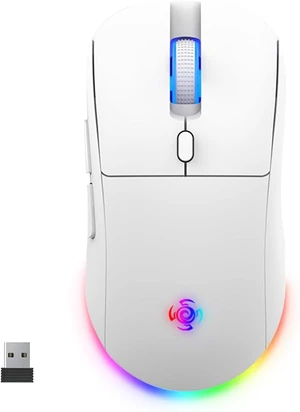 Wireless Gaming Mouse, Wireless/Wired 1K Polling, Symmetrical, PAW3311, 24K, Ergonomic Gamer Mouse, 6 Macro Buttons, 800mAh Battery, Rechargeable Computer Mouse for Laptop, PC, Mac Wireless Gaming Mouse, Wireless/Wired 1K Polling, Symmetrical, PAW3311, 24K, Ergonomic Gamer Mouse, 6 Macro Buttons, 800mAh Battery, Rechargeable Computer Mouse for Laptop, PC, Mac