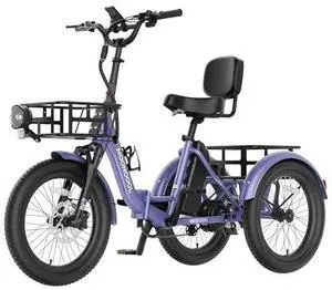MOONCOOL Foldable Electric Tricycle for Adults, 20" Aluminum Etrike Fat Tire, Rated 500W 48V 15Ah Rear Differential, Front Suspension, 15.5MPH, 450LBS Payload, 95% Pre-Assembled MOONCOOL Foldable Electric Tricycle for Adults, 20" Aluminum Etrike Fat Tire, Rated 500W 48V 15Ah Rear Differential, Front Suspension, 15.5MPH, 450LBS Payload, 95% Pre-Assembled