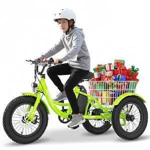 MOONCOOL Kids Electric Trike 16"×3" Fat Tire, Youth 3-Wheel 250W Aluminum eBike, Removable Battery & Basket, Up to 35-Mile Range (Moss Green) MOONCOOL Kids Electric Trike 16"×3" Fat Tire, Youth 3-Wheel 250W Aluminum eBike, Removable Battery & Basket, Up to 35-Mile Range (Moss Green)