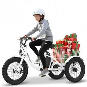 MOONCOOL Kids Electric Trike 16"×3" Fat Tire, Youth 3-Wheel 250W Aluminum eBike, Removable Battery & Basket, Up to 35-Mile Range (Pearl White) MOONCOOL Kids Electric Trike 16"×3" Fat Tire, Youth 3-Wheel 250W Aluminum eBike, Removable Battery & Basket, Up to 35-Mile Range (Pearl White)