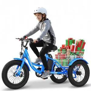 MOONCOOL Kids Electric Trike 16"×3" Fat Tire, Youth 3-Wheel 250W Aluminum eBike, Removable Battery & Basket, Up to 35-Mile Range MOONCOOL Kids Electric Trike 16"×3" Fat Tire, Youth 3-Wheel 250W Aluminum eBike, Removable Battery & Basket, Up to 35-Mile Range