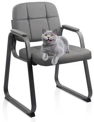 CLATINA Leather Stationary Office Reception Guest Chair, Waiting Room Chairs with Padded Arms and Sled Base for Reception Conference Elderly Side Office Desk Home Conference Room Lobby Table, Grey CLATINA Leather Stationary Office Reception Guest Chair, Waiting Room Chairs with Padded Arms and Sled Base for Reception Conference Elderly Side Office Desk Home Conference Room Lobby Table, Grey
