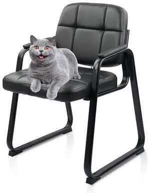 CLATINA Leather Stationary Office Reception Guest Chair, Comfy Waiting Room Chairs with Padded Arms and Sled Base for Reception Conference Elderly Side Office Desk Home Conference Room Lobby Table CLATINA Leather Stationary Office Reception Guest Chair, Comfy Waiting Room Chairs with Padded Arms and Sled Base for Reception Conference Elderly Side Office Desk Home Conference Room Lobby Table
