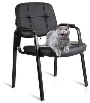 CLATINA Leather Stationary Office Reception Guest Chair, Comfy Waiting Room Chairs with Padded Arms for Reception Conference Elderly Side Office Desk Home Conference Room Lobby Table CLATINA Leather Stationary Office Reception Guest Chair, Comfy Waiting Room Chairs with Padded Arms for Reception Conference Elderly Side Office Desk Home Conference Room Lobby Table