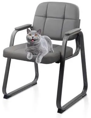 CLATINA Office Reception Guest Chair No Wheels, Leather Stationary Waiting Room Chairs with Padded Arms and Seld Base for Elderly Desk Conference Room Lobby Table Side Salon Grey CLATINA Office Reception Guest Chair No Wheels, Leather Stationary Waiting Room Chairs with Padded Arms and Seld Base for Elderly Desk Conference Room Lobby Table Side Salon Grey