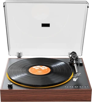 FIIO TT11 Fully Automatic Turntable, Bluetooth Vinyl Record Player, Built-in Preamp, Line & Phono Output, 2-Speed (33/45 RPM), Aluminum Platter, Dust Cover (Brown) FIIO TT11 Fully Automatic Turntable, Bluetooth Vinyl Record Player, Built-in Preamp, Line & Phono Output, 2-Speed (33/45 RPM), Aluminum Platter, Dust Cover (Brown)