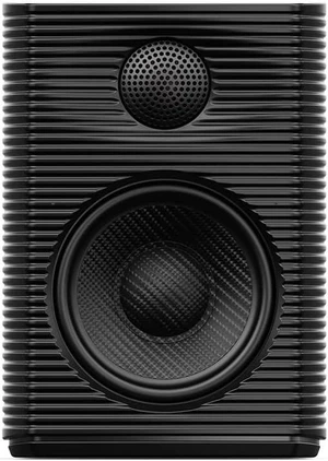 FiiO SP3 Powered HiFi Active Desktop Speakers - 80W Stereo Computer Speakers and Home Music Sound System with AUX Audio/RCA, 2-Way (Black) FiiO SP3 Powered HiFi Active Desktop Speakers - 80W Stereo Computer Speakers and Home Music Sound System with AUX Audio/RCA, 2-Way (Black)