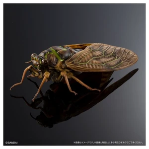 Japan Ikimono Dai-Zukan Advance Semi 02 Ryukyu Brown Cicada Japan Ikimono Dai-Zukan Advance Semi 02 Ryukyu Brown Cicada